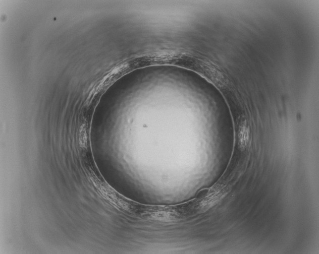 X0000057101204200509231707