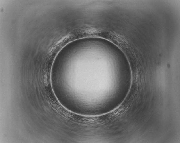 X0000057101205200509231707