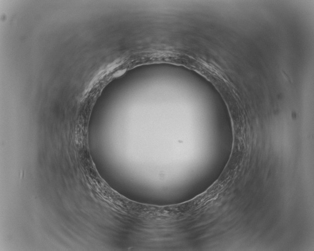 X0000057101207200509231707