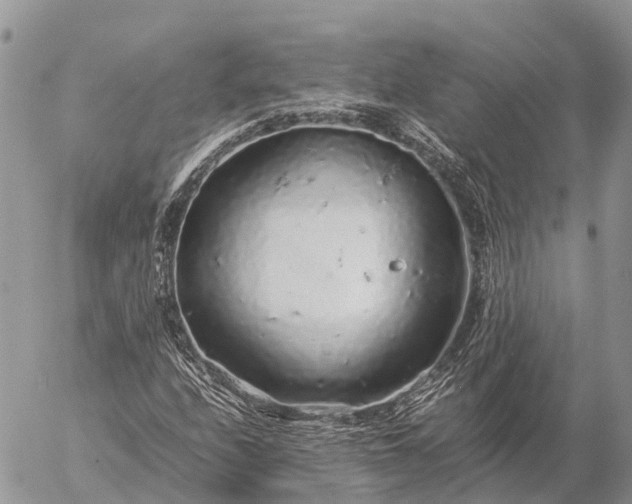 X0000057101208200509231707