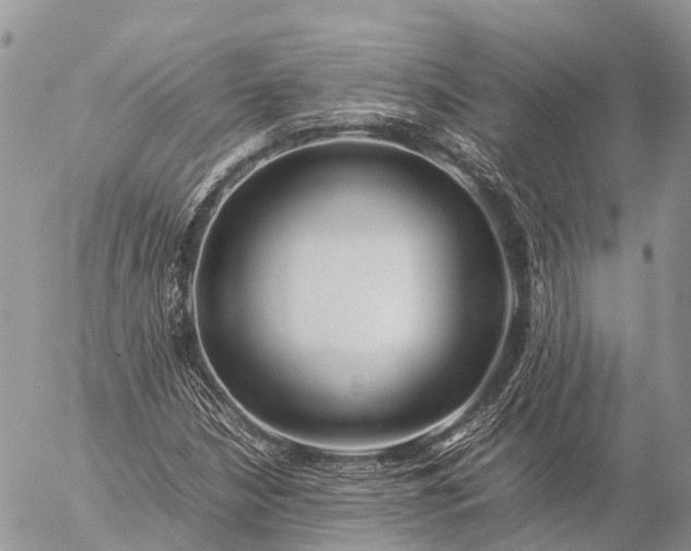 X0000057101210200509231707