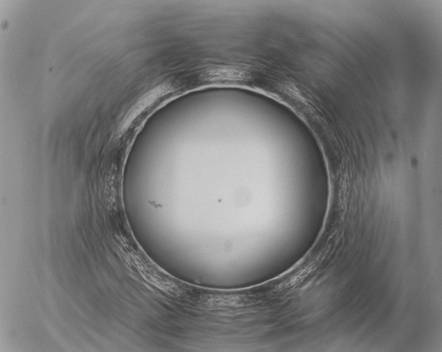 X0000057101211200509231707