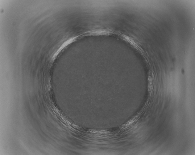 X0000057101213200509231707