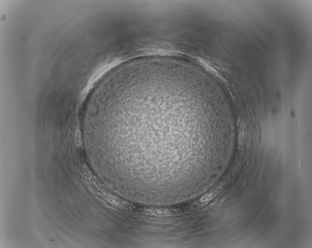 X0000057101215200509231707