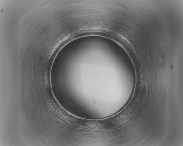 X0000057101218200509231707