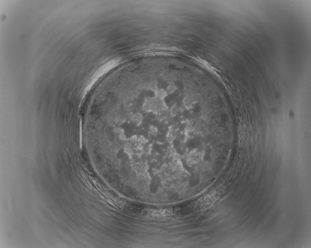 X0000057101219200509231707