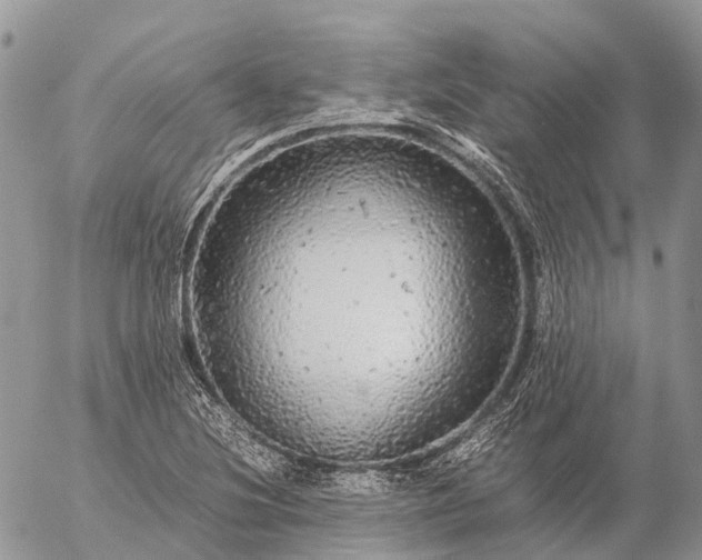 X0000057101220200509231707