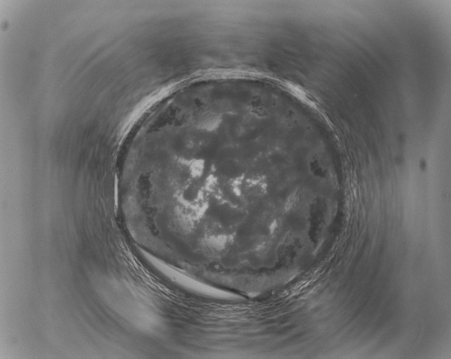 X0000057101221200509231707