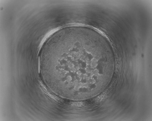 X0000057101223200509231707