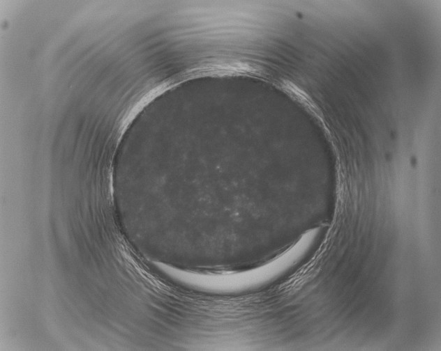 X0000057101226200509231707