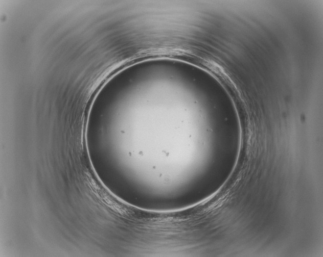 X0000057101228200509231707