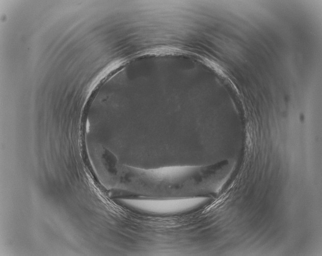 X0000057101229200509231707