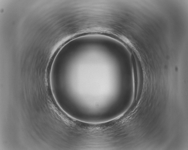 X0000057101230200509231707