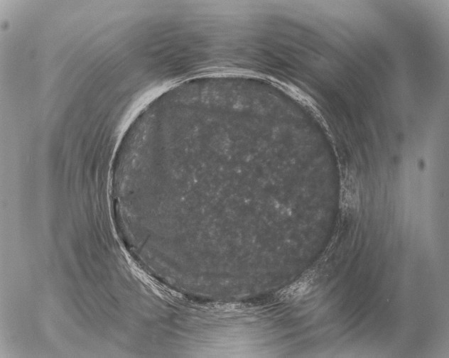 X0000057101231200509231707