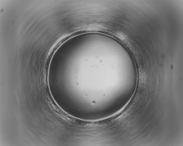 X0000057101232200509231707