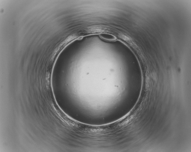 X0000057101233200509231707