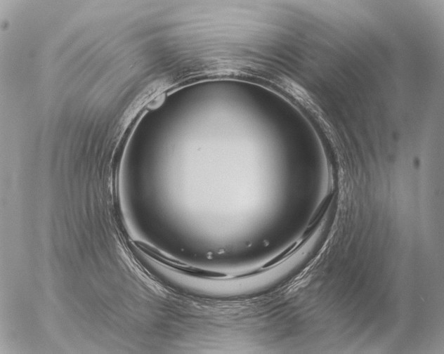 X0000057101234200509231707