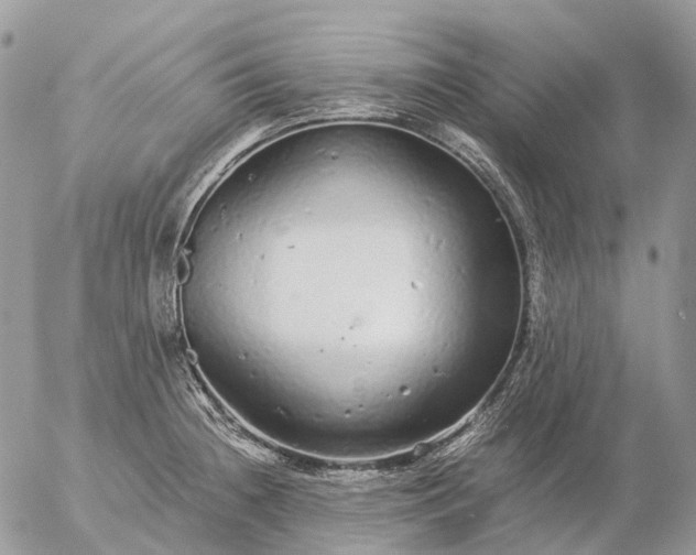 X0000057101236200509231707