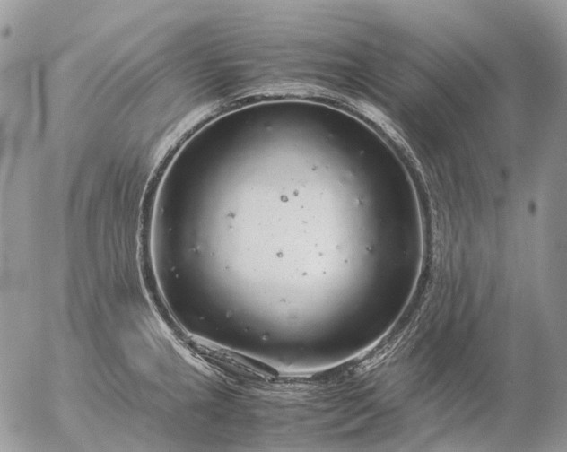 X0000057101237200509231707