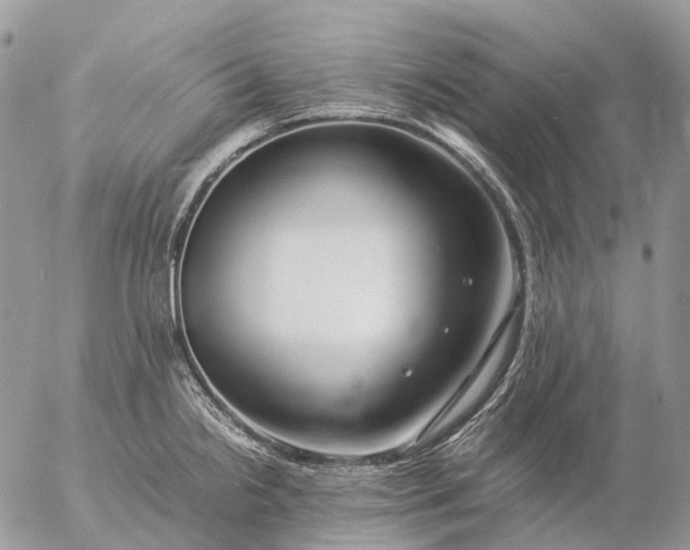 X0000057101238200509231707