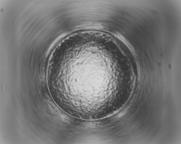 X0000057101240200509231707