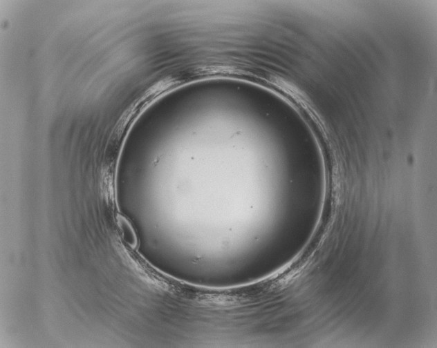 X0000057101241200509231707