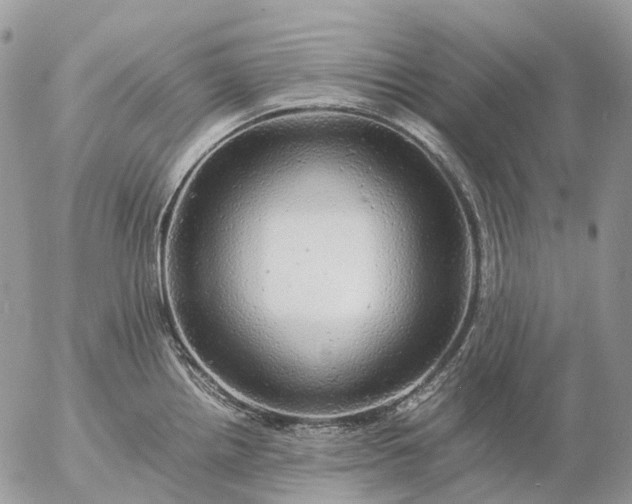 X0000057101242200509231707