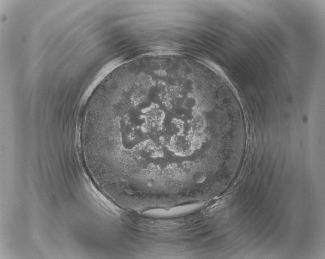 X0000057101243200509231707