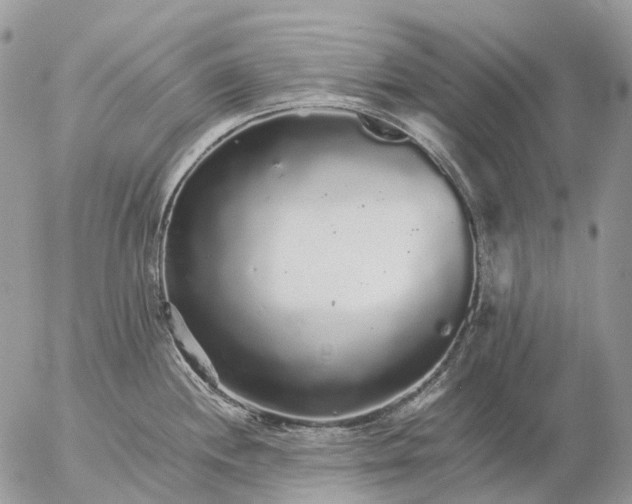 X0000057101244200509231707