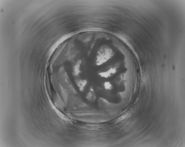 X0000057101245200509231707