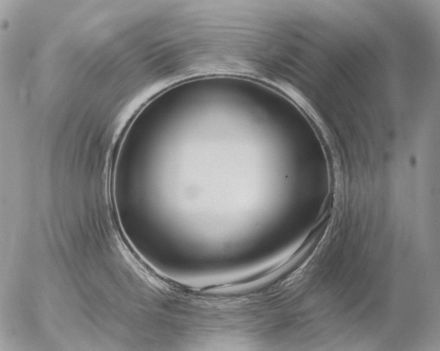 X0000057101246200509231707