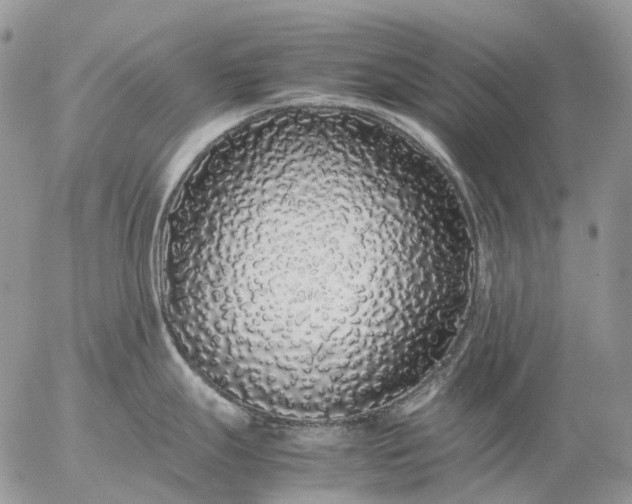 X0000057101247200509231707