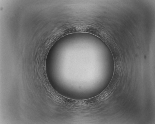 X0000057101249200509231707