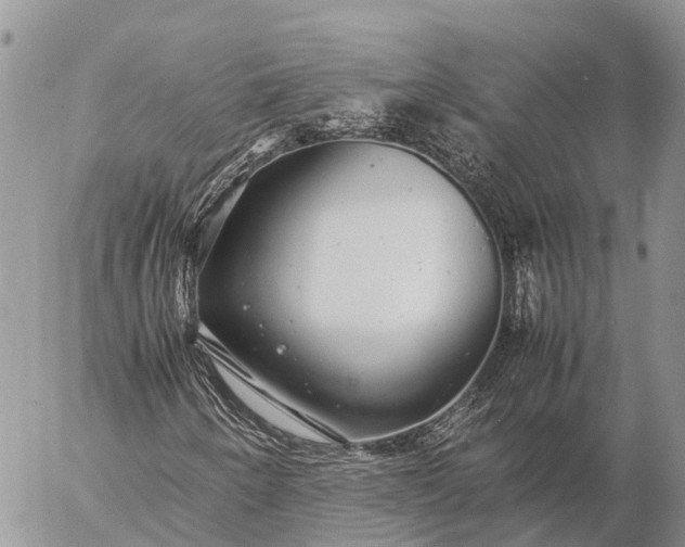 X0000057101250200509231707