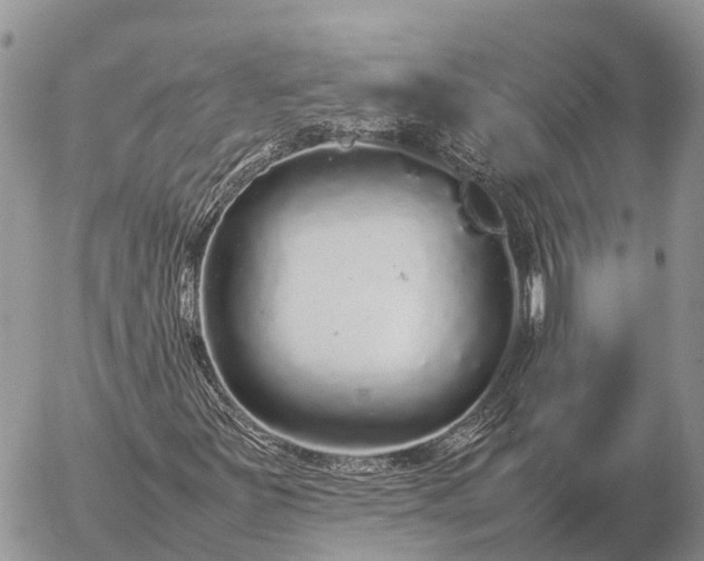 X0000057101251200509231707