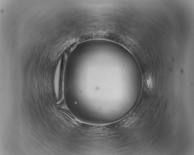 X0000057101252200509231707