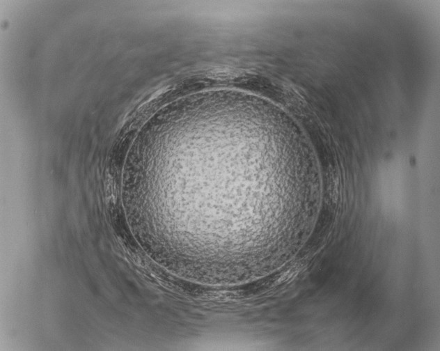 X0000057101253200509231707