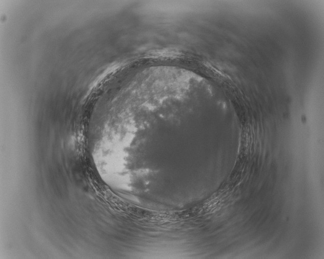 X0000057101254200509231706