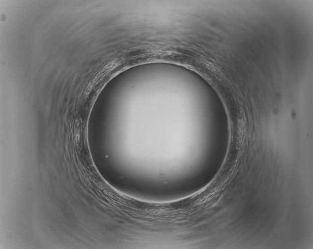 X0000057101257200509231706