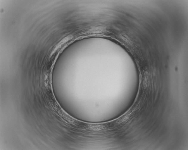 X0000057101258200509231706