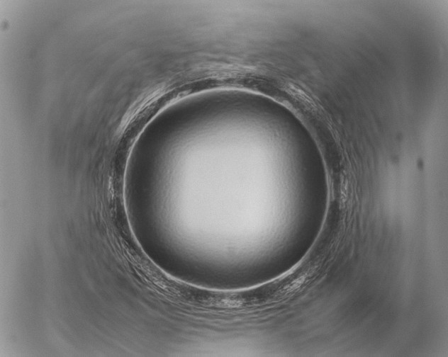 X0000057101261200509231706