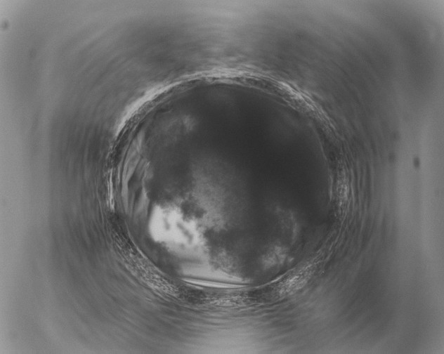 X0000057101262200509231706