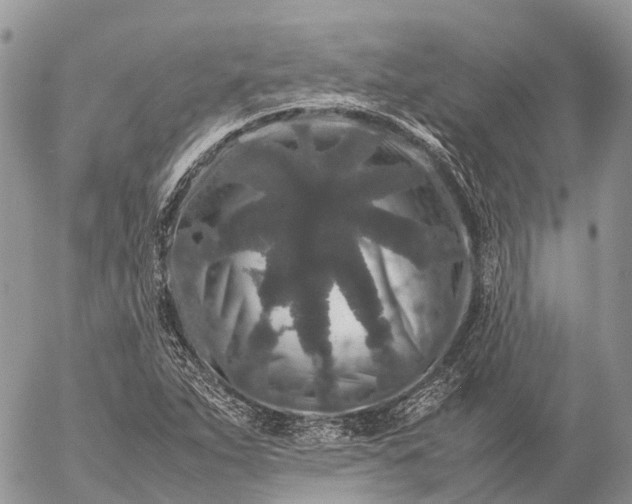 X0000057101263200509231706