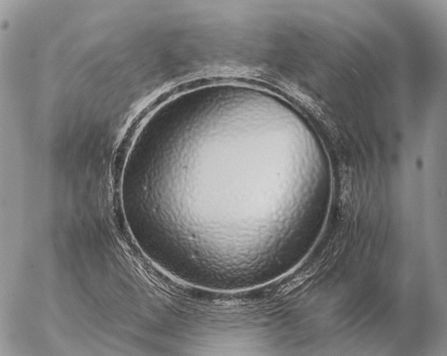 X0000057101264200509231706