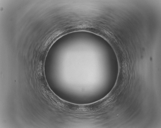 X0000057101265200509231706