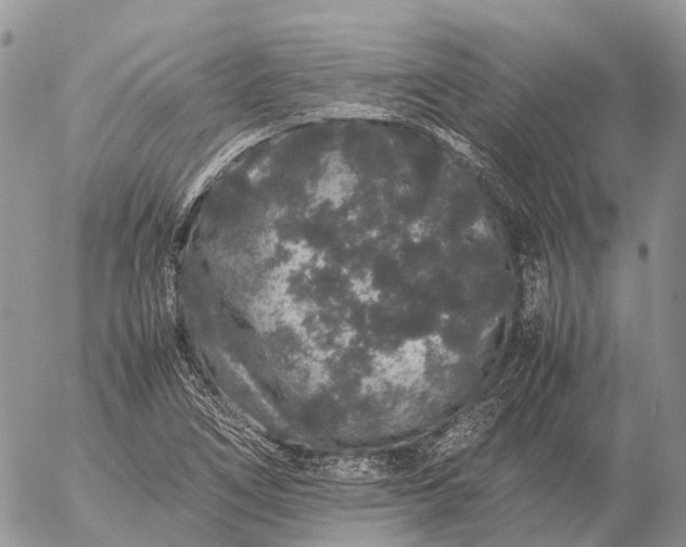 X0000057101266200509231706