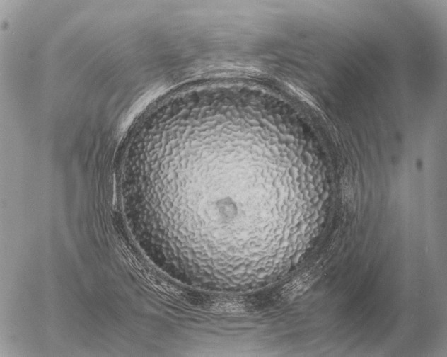 X0000057101267200509231706