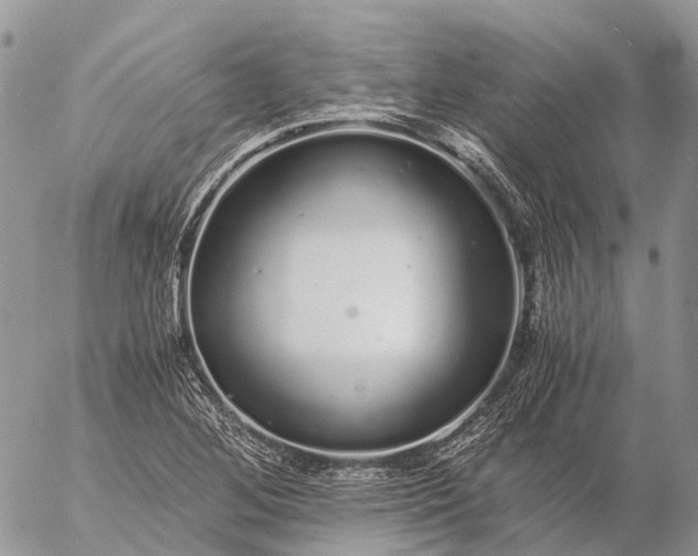 X0000057101268200509231706