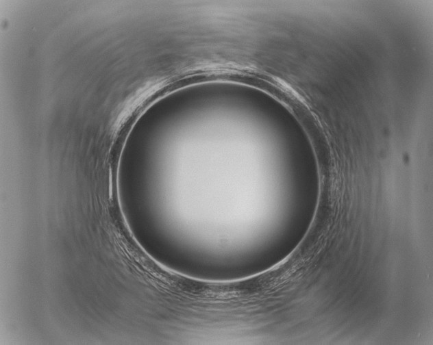 X0000057101269200509231706