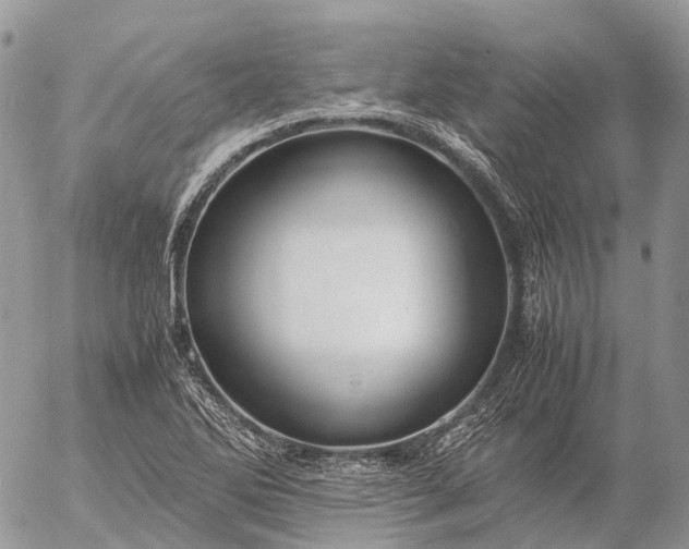 X0000057101270200509231706